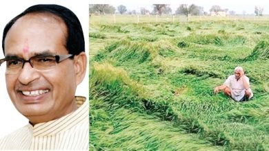 Photo of अब फसल क्षति होने पर किसानों  को मिलेगी न्यूनतम पांच हजार रुपए की  सहायता