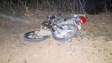 Photo of जरुआखेड़ा चौकी अंतर्गत बीस मील तिराहे पर ट्रक और बाइक की भिड़ंत घायल ने रास्ते में तोड़ा दम