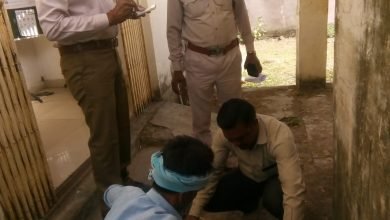 Photo of जरुआखेड़ा में सागर-बीना रोड पर मृत अवस्था में मिला हिरण का बच्चा