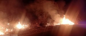 इस तरह बना ली लोगो ने परंपरा  नरवाई मे लगाई आग