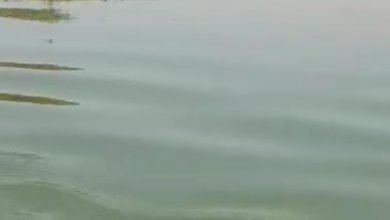 Photo of असामाजिक तत्व डायनामाइट विस्फोटक सामग्री फेंक कर मछलियों का अवैध शिकार कर रहे