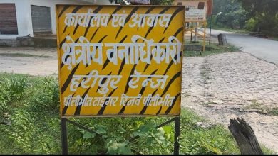 Photo of पीलीभीत टाइगर रिजर्व में वन विभाग की मिलीभगत से जंगल में हरे भरे पेड़ों का कटान खुलेआम किया जा रहा वन विभाग के उच्च अधिकारी सब कुछ जान कर अंजान बने हुए हैं