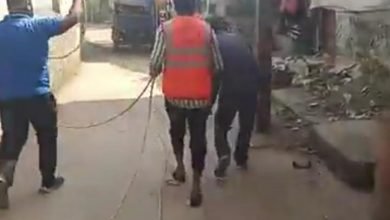 Photo of कोरोनावायरस संक्रमण से बचाव के लिए बुधवार को नगर के जागरूक एवं सक्रिय बरिष्ठ पार्षद अस्सु नेमा के द्वारा बजरंग वार्ड 17 में सेनेटाइजर का छिड़काव कराया गया