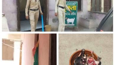 Photo of रतलाम।सैलाना पुलिस ने मटन की दुकान पर मारा छापा,