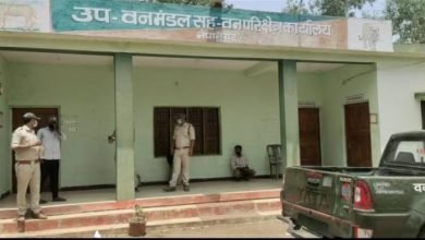 Photo of नेपानगर।वन विभाग की बड़ी कार्यवाही वन्य प्राणी का मांस बेचते युवक को रंगे हाथों पकड़ा।