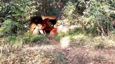 Photo of रतलाम /देवर ने किया भाभी के साथ दुष्कर्म ,धमकी देकर आरोपी हुआ फरार,पुलिस ने किया प्रकरण दर्ज