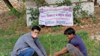 Photo of चंदेरी अनिल माधव दवे की पुण्यतिथि पर किया वृक्षारोपण