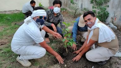 Photo of देवरी कोरोंना काल में ऑक्सीजन की कमी ने दिलाई प्लांटेशन की याद