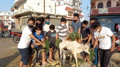 Photo of इन बच्चो की गौ सेवा देख बड़े भी शर्मा जाय