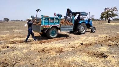 Photo of गोबर के खाद्य को खेतो मैं डाल रहे किसान बडेगी फसल की उर्वरक क्षमता