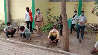 Photo of आस्थाई जेल मे बंद कैदियो से लगवाये जा रहे है पौधे