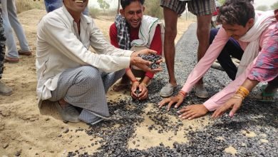 Photo of कैमरा कला से बरोठा तक गुणवत्ता हीन घटिया डामरीकरण प्रधानमंत्री ग्रामीण सड़क योजना की ठेकेदार उड़ा रहे धज्जियां