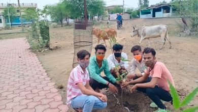 Photo of विश्व पर्यावरण दिवस के इस उत्सव में अखिल भारतीय भारतीय विद्यार्थी परिषद के समस्त कार्यकर्ताओं ने पिपरई स्वास्थ्य केंद्र पर वृक्षारोपण किया