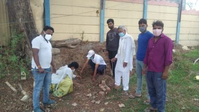 Photo of रतलाम ग्राम हतनारा में सामूहिक रूप से मनाया विश्व पर्यावरण दिवस,