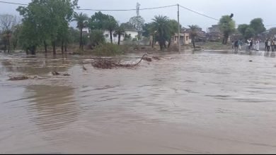 Photo of जावरा-गर्मी से मिली राहत,मौसम मे घुली ठंडक