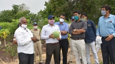 Photo of झाबुआ -ग्राम सारंगी पेटलावद में कलेक्टर जिले के आधुनिक कृषक बालाराम पाटीदार खेत पर पहुंचे