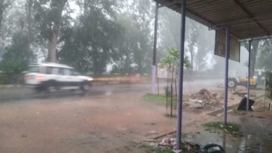 Photo of जतारा।वारिश से किसानों के खिले चेहरे