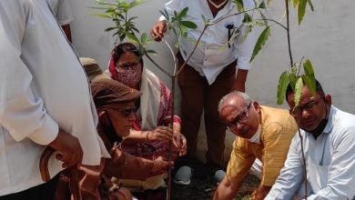 Photo of भिण्ड।वृक्ष हमारे शरीर के लिए प्राणवायु देते हैं- सांसद