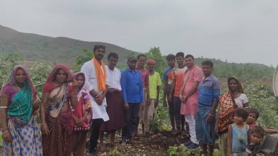 Photo of थांदला मंडल ने 61 बुथो पर पौधारोपण का लिया लक्ष्य