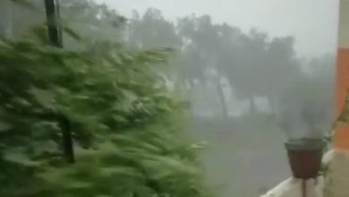 Photo of थान्दला मे तेज रफ्तार की हवा व तुफ़ान के साथ भारी बारिश हुई कइ पेड गिर गये
