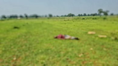 Photo of कटनी| चरी ग्राम के खेत में मिला अज्ञात युवक का शव , पुलिस ने कराई शिनाख्त और लिया जांच में|