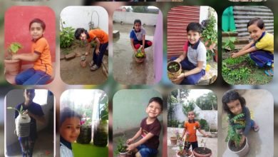 Photo of जुन्नारदेव -विश्व पर्यावरण दिवस के अवसर पर नन्हे मुन्नो ने दिया जागरूकता का संदेश
