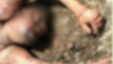 Photo of रतलाम में फोरलेन पर पुलिया के पास मिला महिला का शव, महिला की शिनाख्त नहीं हो पाई