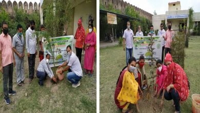 Photo of शाजापुर । किला परिसर स्थित शासकीय कन्या महाविद्यालय में पौधारोपण।