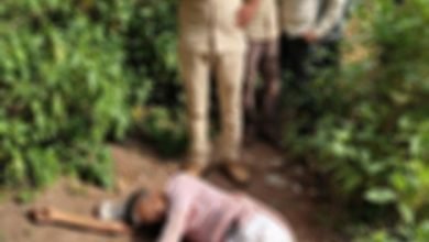 Photo of गुना(आरोन)| आरोन किले के बाहर झाड़ियों में मिला एक 50 वर्षीय युवक का शव, पुलिस ने शव कब्जे में कर पोस्टमार्टम के लिए भेजा |
