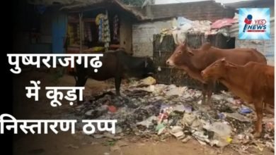 Photo of पुष्पराजगढ़। स्वच्छ भारत मिशन के तोते उड़े, सांसद विधायक के निवास स्थल में कूड़ा निस्तारण ठप्प।