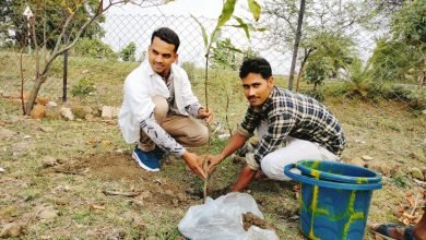 Photo of दीपनखेड़ा । जन्मदिन पर पौधरोपण कर दिया पर्यावरण बचाने का संदेश।