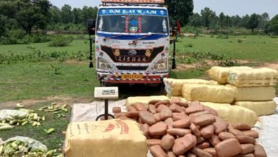 Photo of अनुपपुर । पुलिस की बड़ी कार्यवाही,सब्जी की आड़ में गांजे की तस्करी करने वाले गिरोह पर बड़ी कार्यवाही।