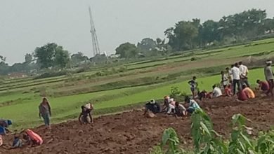 Photo of देवरीकलां(सागर) ग्राम ईशरपुर की भूमि पर बहू मूल्य पत्थर जमीन के अंदर से निकल रहे हैं