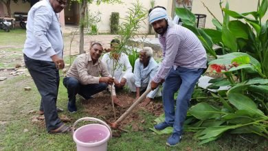 Photo of कैलारस । अंकुर अभियान के तहत कैलारस के शा. कन्या उच्चत्तर मा. शाला व छात्रावास में किया पौधरोपण ।