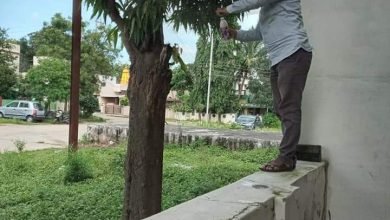 Photo of छिंदवाड़ा । डेंगू नियंत्रण कार्य के अंतर्गत सर्वे के दौरान 52 घरों में लार्वा का नष्टीकरण ।