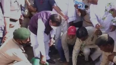 Photo of बाँस की खेती फायदे का धंधा, किसान बाँस उगाने आगे आएं- मंत्री भूपेंद्र सिंह