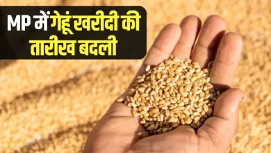 Photo of मध्य प्रदेश के किसानों के लिए राहत! 15 मार्च से होगा गेहूं का समर्थन मूल्य पर उपार्जन