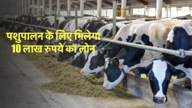 Photo of उत्तर प्रदेश सरकार ने लांच की नई स्कीम, किसानों को मिलेगा 10 गायों पर 10 लाख रुपये तक का लोन