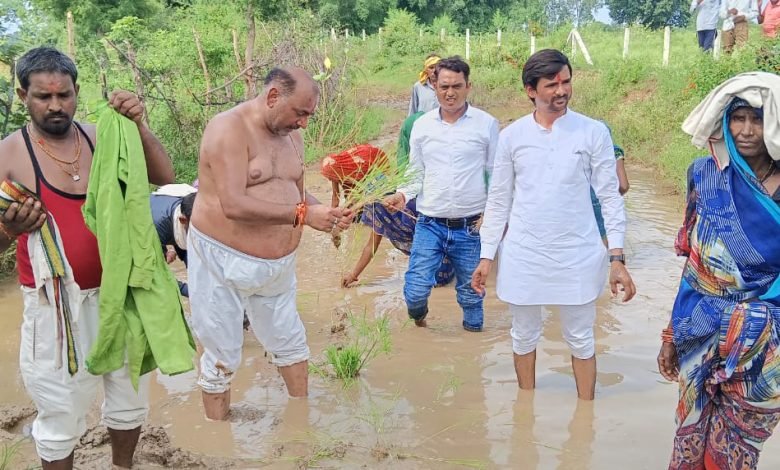 कांग्रेसियों का अर्धनग्न सत्याग्रह कीचड़ युक्त सड़क में की धान की रोपाई घोड़े और बैल को सौंपा ज्ञापन