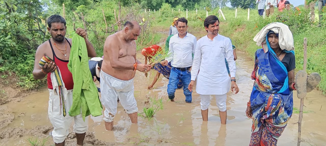 कांग्रेसियों का अर्धनग्न सत्याग्रह कीचड़ युक्त सड़क में की धान की रोपाई घोड़े और बैल को सौंपा ज्ञापन